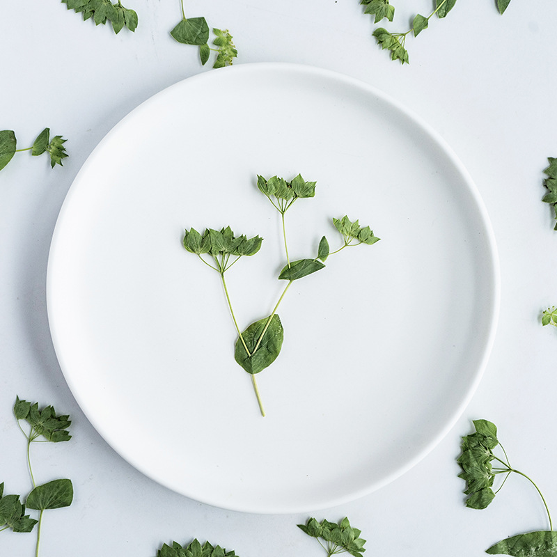 60 Adet Dallı Tavşan Kulağı Çi - Plant Parent Sticker incelemesi ve fiyatı
